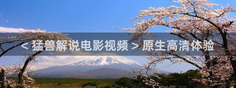西瓜影院手机在线